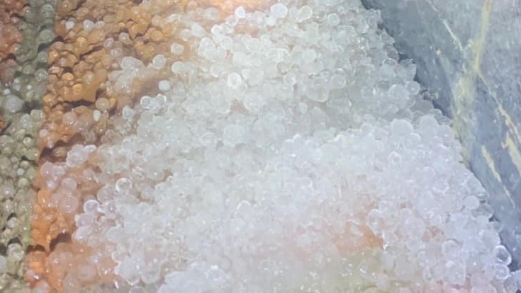 Mua da trut xuong dinh Fansipan hinh anh