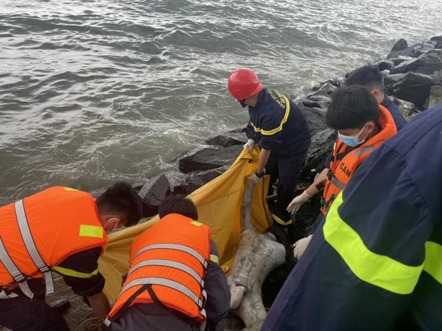 Phat hien thi the dat vao ghenh da o bien Da Nang hinh anh