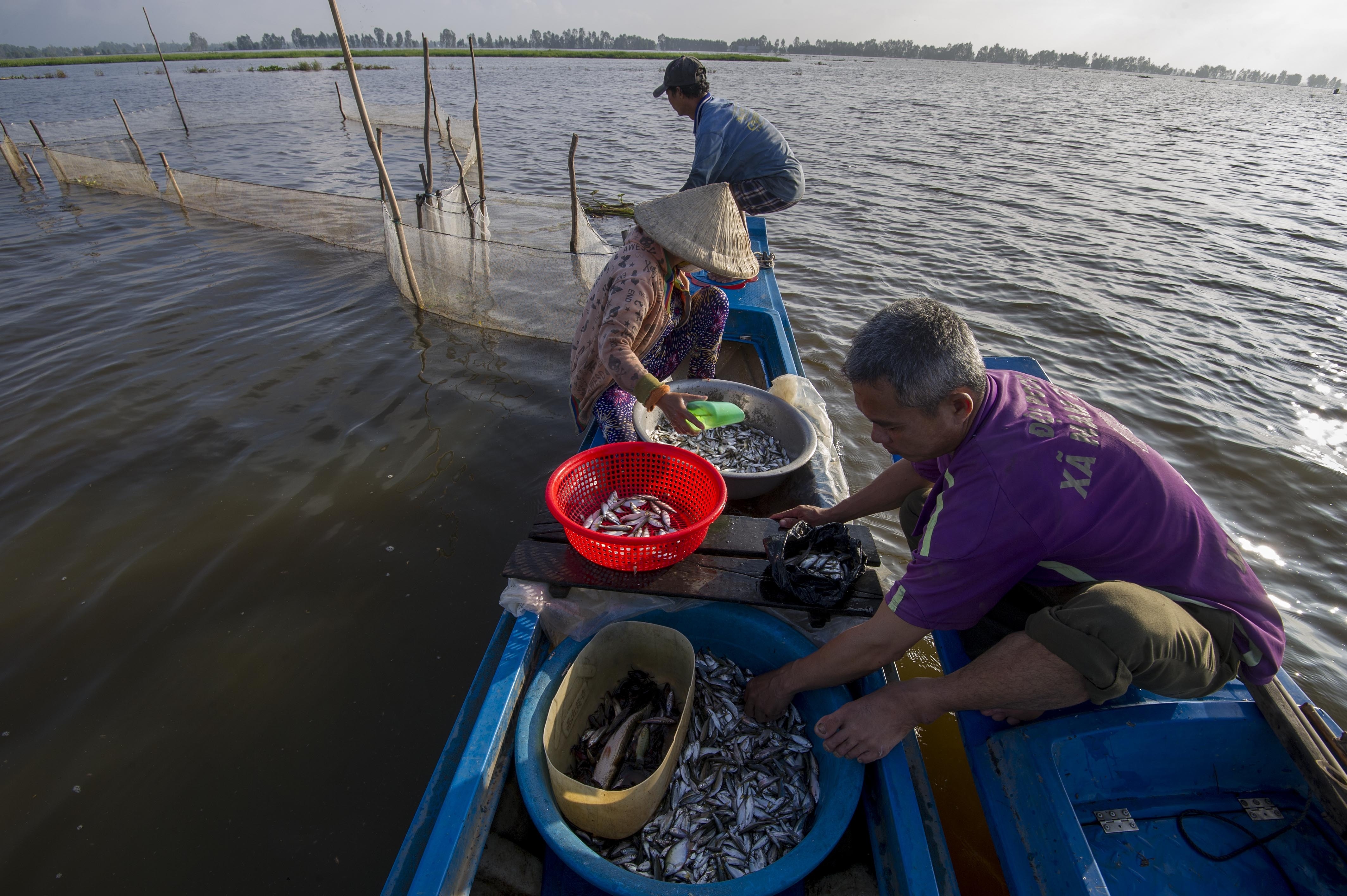 Uy hoi song Mekong anh 2