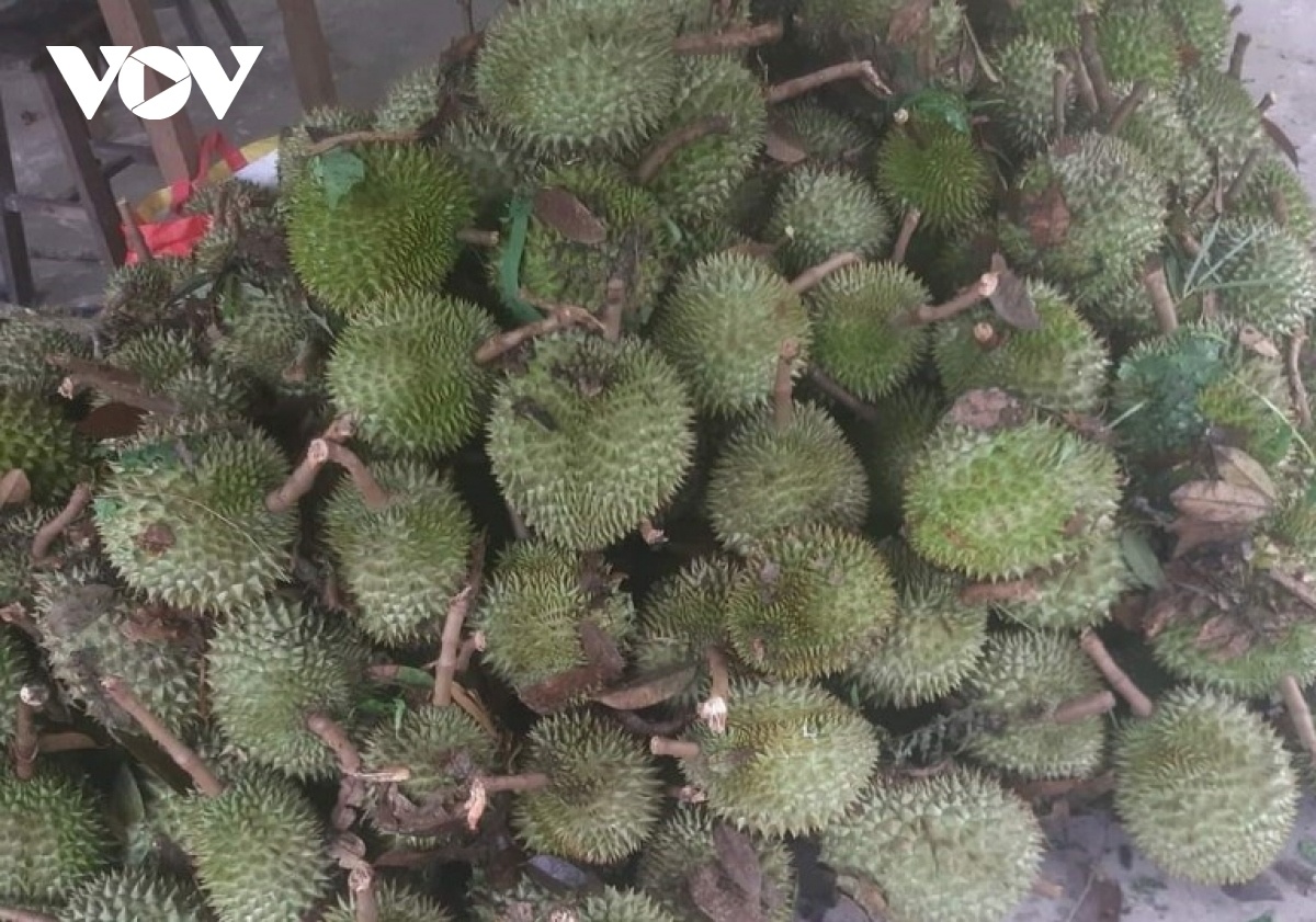 toc mai nha dan anh 2