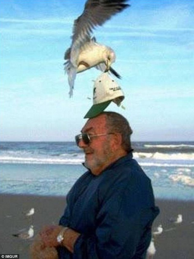 Những tai nạn bất ngờ và hài hước ảnh 6 Nhung tai nan bat ngo va hai huoc anh 6