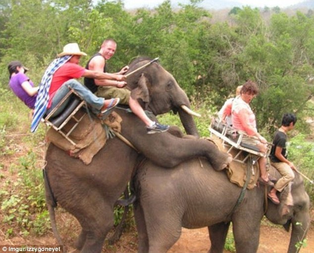 Những tai nạn bất ngờ và hài hước ảnh 3 Nhung tai nan bat ngo va hai huoc anh 3