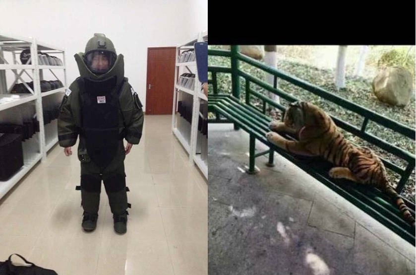 Hổ nhồi bông ảnh 1 Ho nhoi bong anh 1