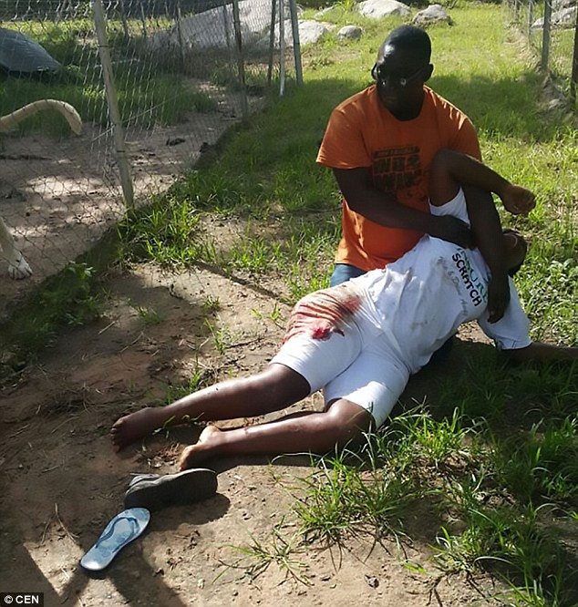 Du khách bị sư tử cào rách đùi vì dựa vào hàng rào để chụp ảnh ảnh 1 Du khach bi su tu cao rach dui vi dua vao hang rao de chup anh anh 1