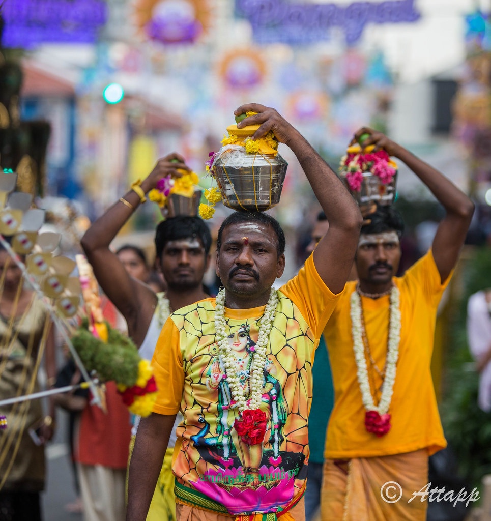 Le hoi Thaipusam anh 5