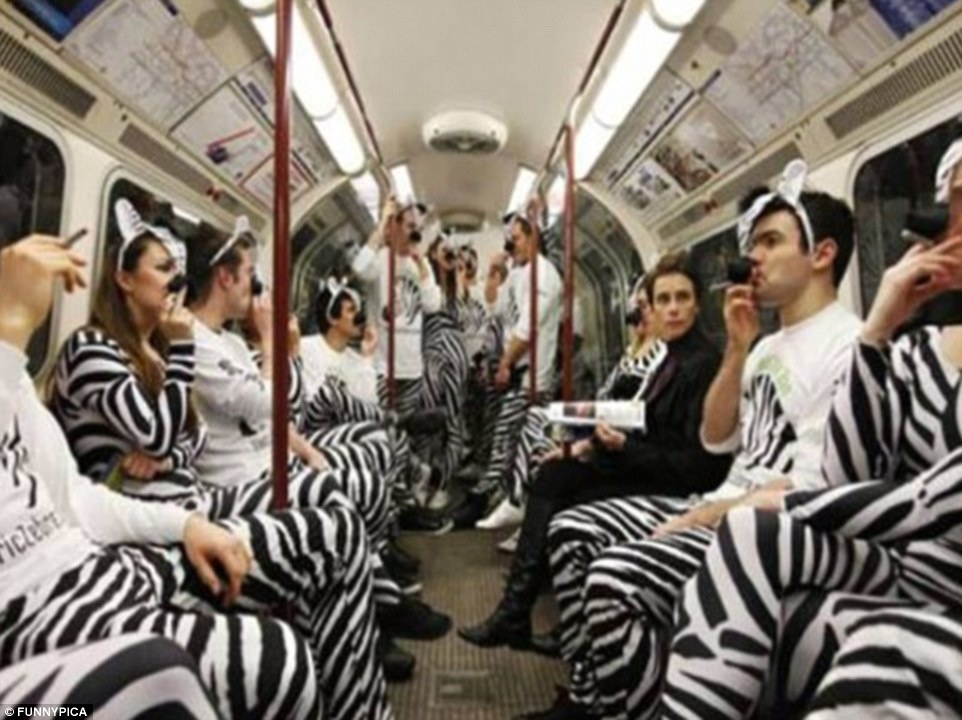 khach hai huoc tren tau dien ngam anh 15