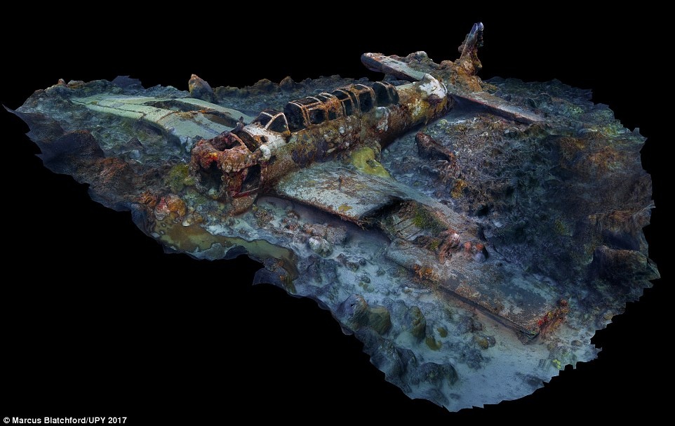 The gioi dai duong dep ky ao qua nhung buc anh dat giai Nhiep anh duoi nuoc anh 18