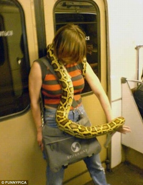 khach hai huoc tren tau dien ngam anh 3