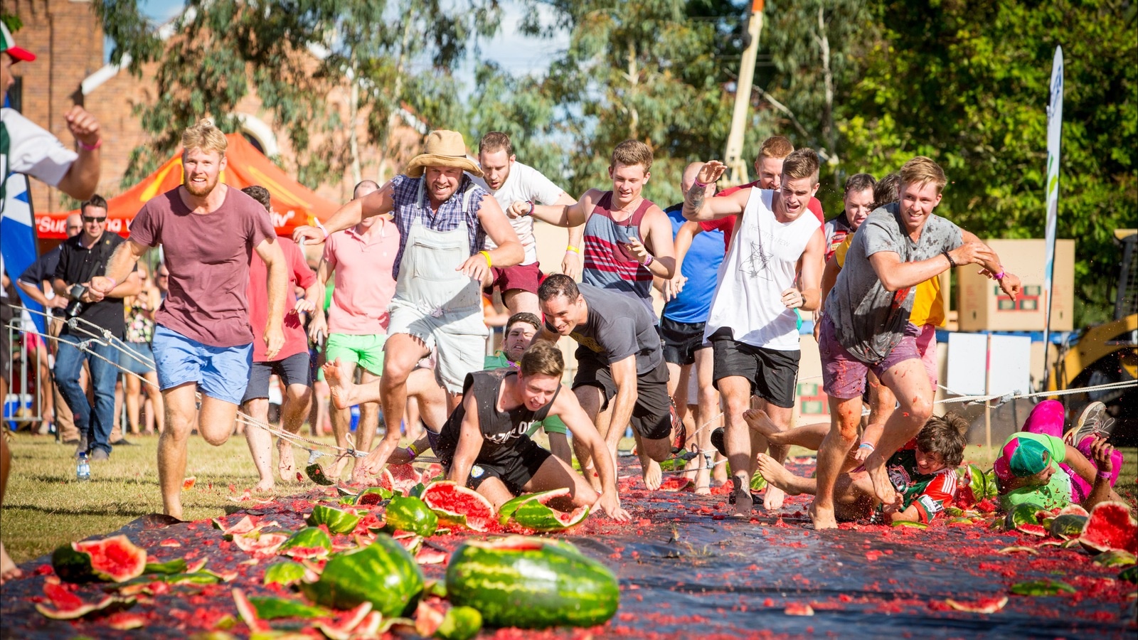 le hoi dua hau o Australia anh 11