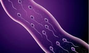 Nhung phuong phap tranh thai bang cong nghe cao anh 1