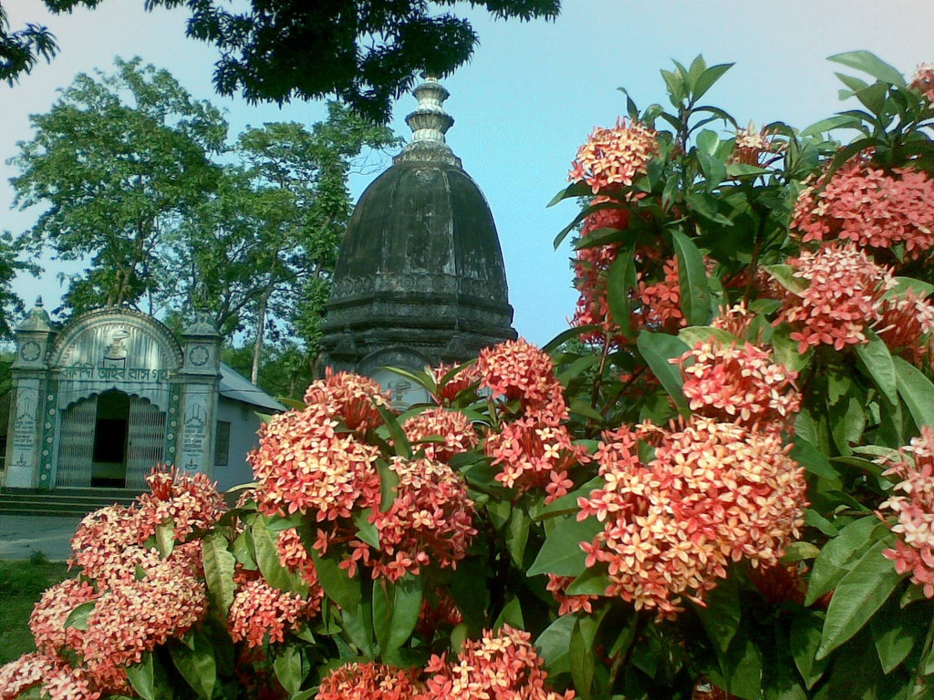 Nhung dia danh cam phu nu den gan anh 9