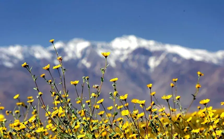 nhung sa mac dep nhat the gioi anh 11