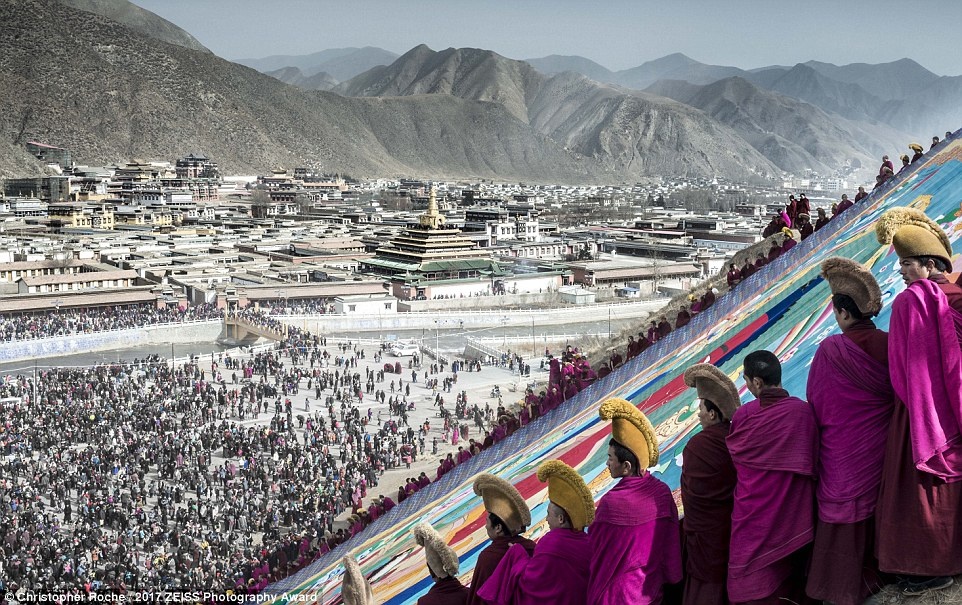 hinh anh an tuong cuoc thi Zeiss anh 2