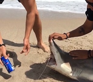 Du khach gay phan no vi dap lon bia vao rang ca map hinh anh