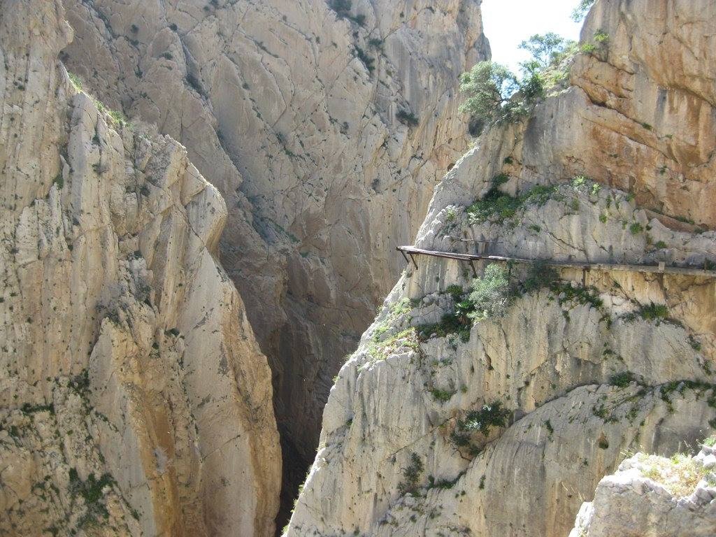 Con duong de vuong anh 10