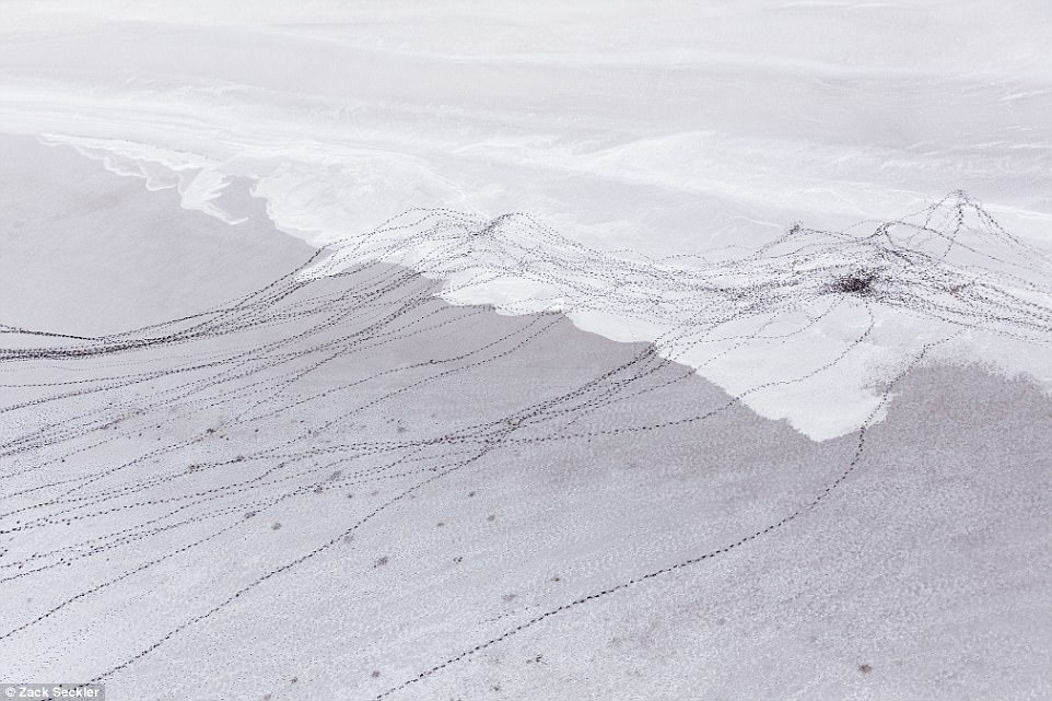 ve dep thien nhien anh 13