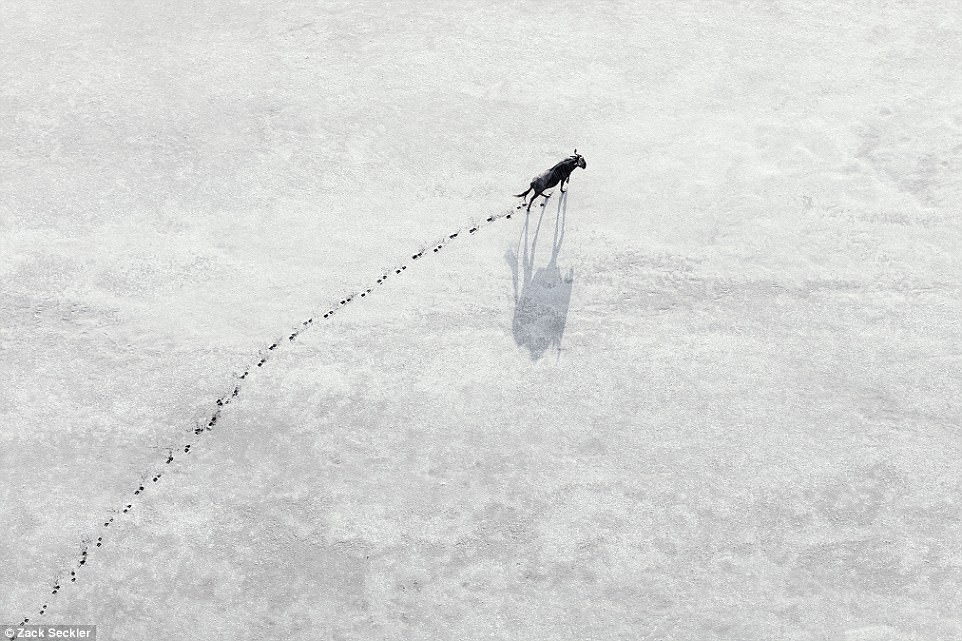 ve dep thien nhien anh 1