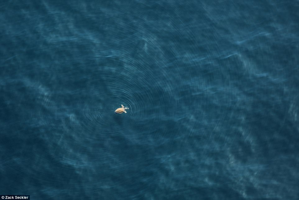 ve dep thien nhien anh 5