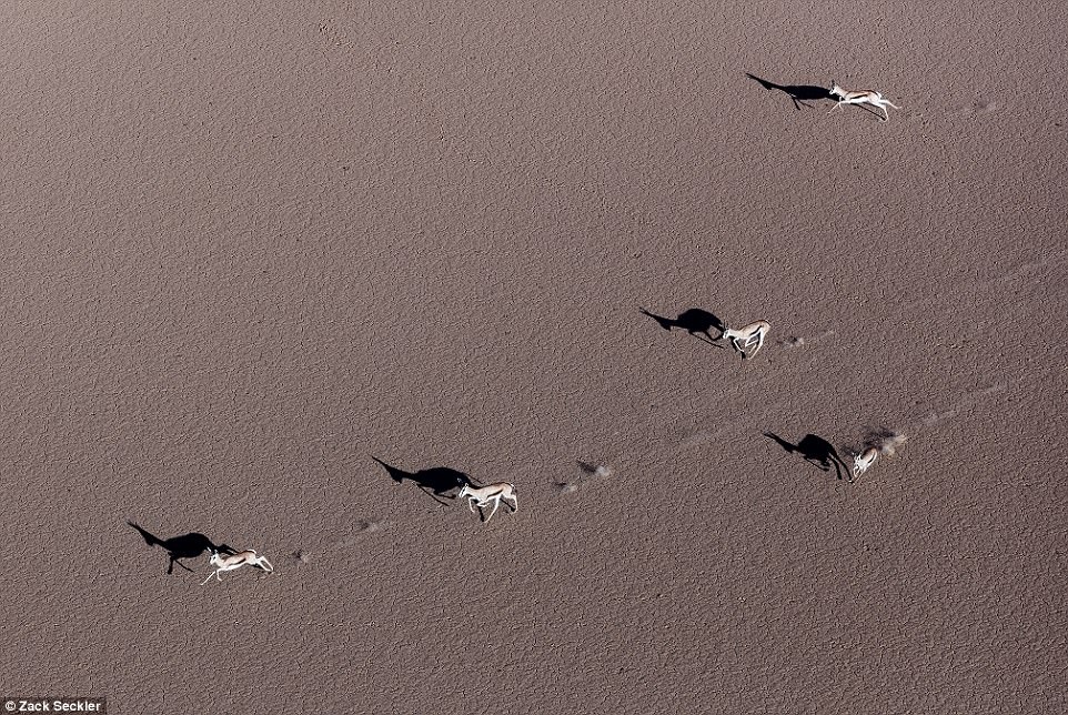 ve dep thien nhien anh 6