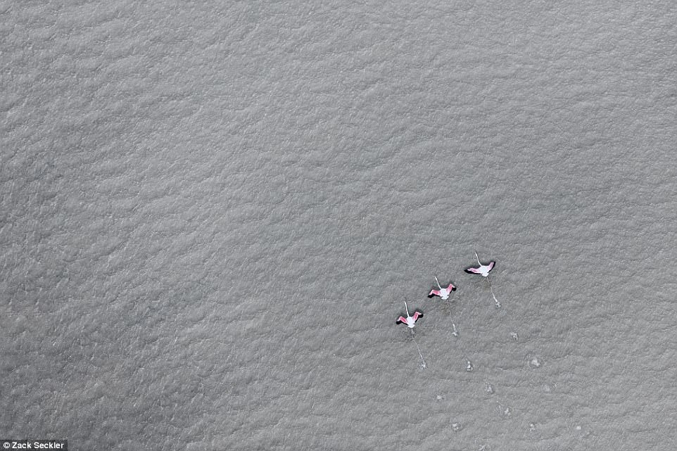 ve dep thien nhien anh 9