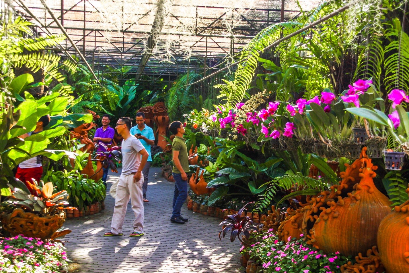 vườn thực vật Nong Nooch ảnh 7 vuon thuc vat Nong Nooch anh 7