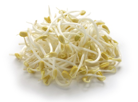 giá đỗ ảnh 1 gia do anh 1