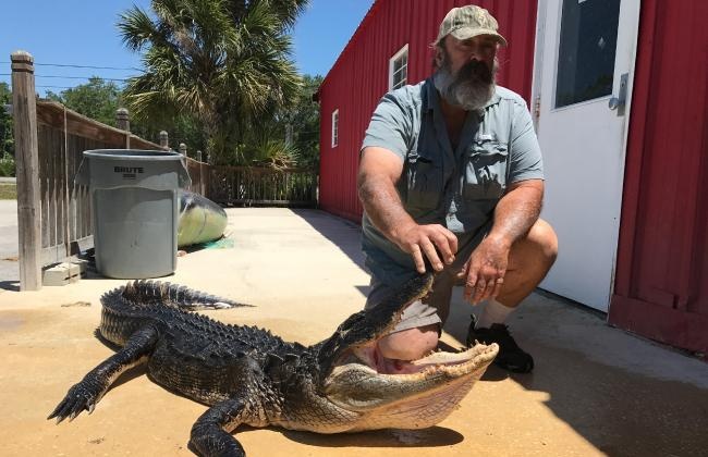 Be gai 10 tuoi dung tay banh ham ca sau khi bi can vao chan hinh anh