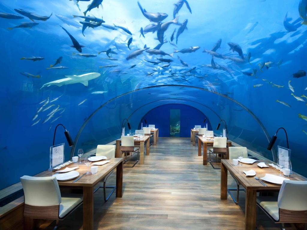 nha hang co tam nhin dep anh 1