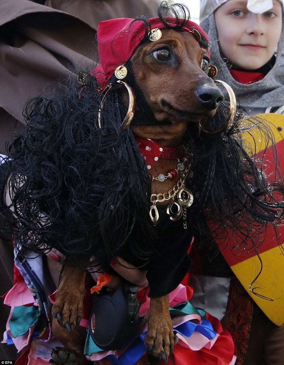 cuoc thi sac dep cua cho anh 8