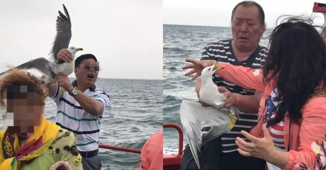 Du khach gay phan no vi bop co mong bien de chup anh hinh anh