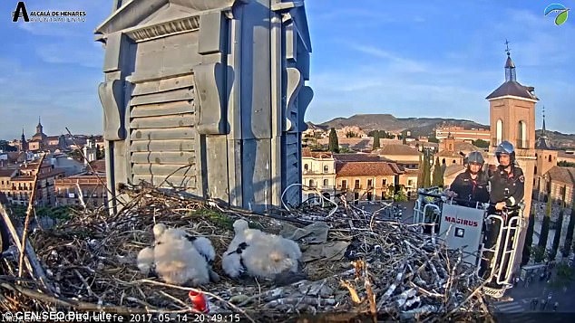 Thanh pho bong nhien hut khach nho canh co lam to tren mai nha hinh anh