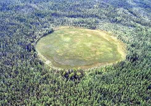 khu rừng Bermuda ảnh 3 khu rung Bermuda anh 3