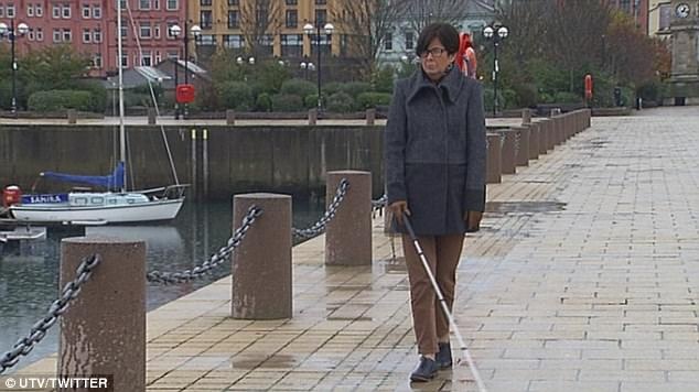 cay rang vao mat anh 1