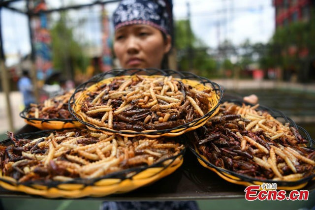 cuoc thi an con trung anh 2