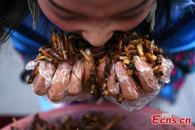 Du khach thang vang 24K sau khi an het 1,23 kg con trung hinh anh