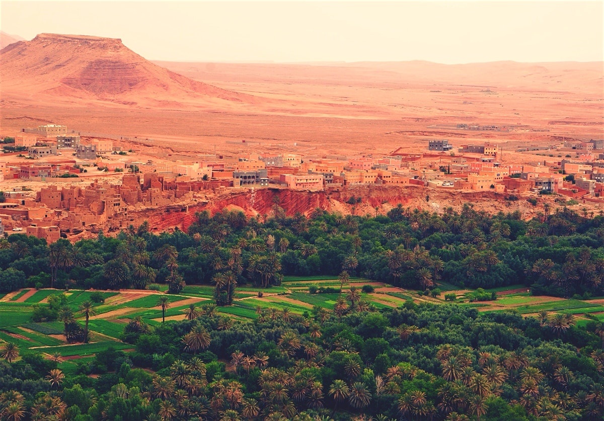 oc dao dep nhat the gioi anh 3