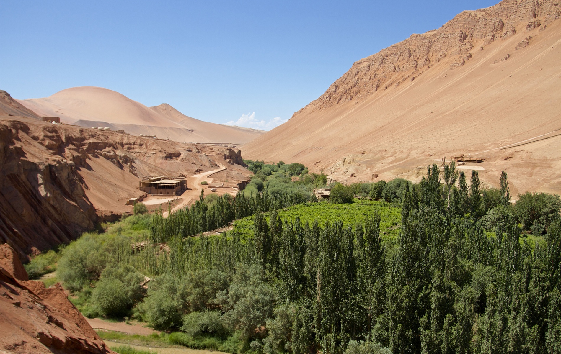 oc dao dep nhat the gioi anh 8