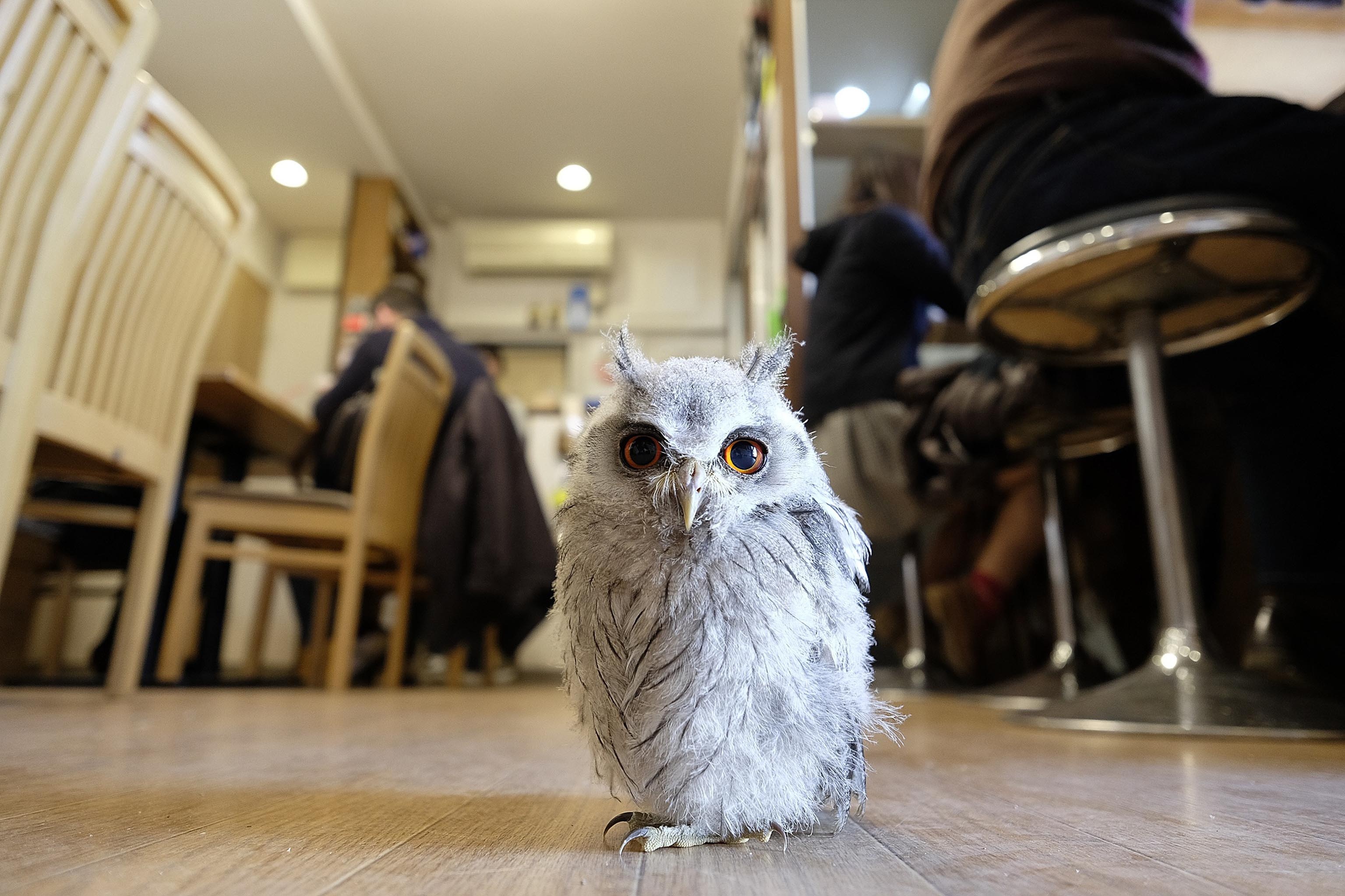 nhung diem du lich ky la anh 2