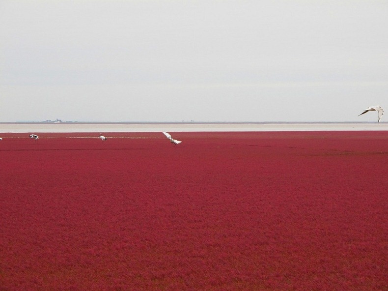 bien Do o Trung Quoc anh 2