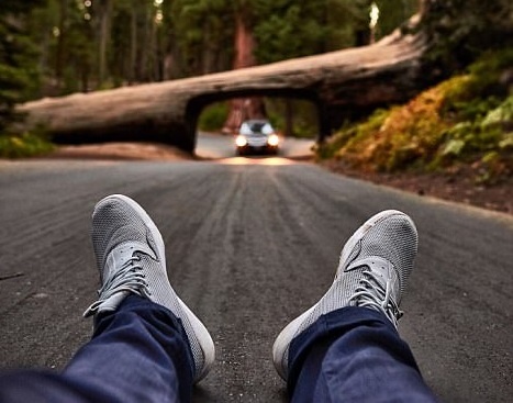 Noi danh voi bo anh doi chan di khap the gian hinh anh