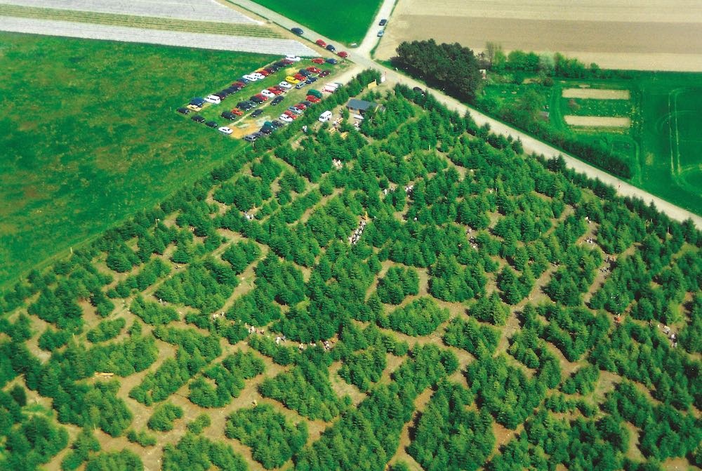 Nhung me cung bang cay dep va phuc tap khap the gioi anh 7