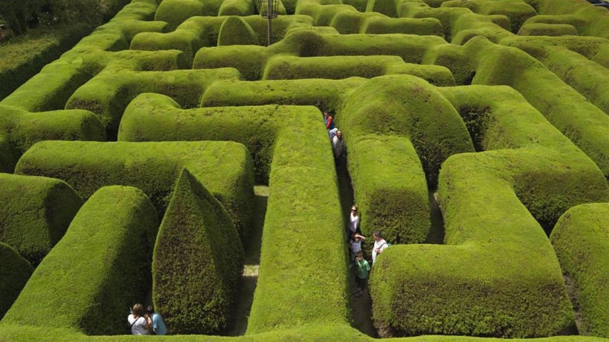 Nhung me cung bang cay dep va phuc tap khap the gioi anh 5