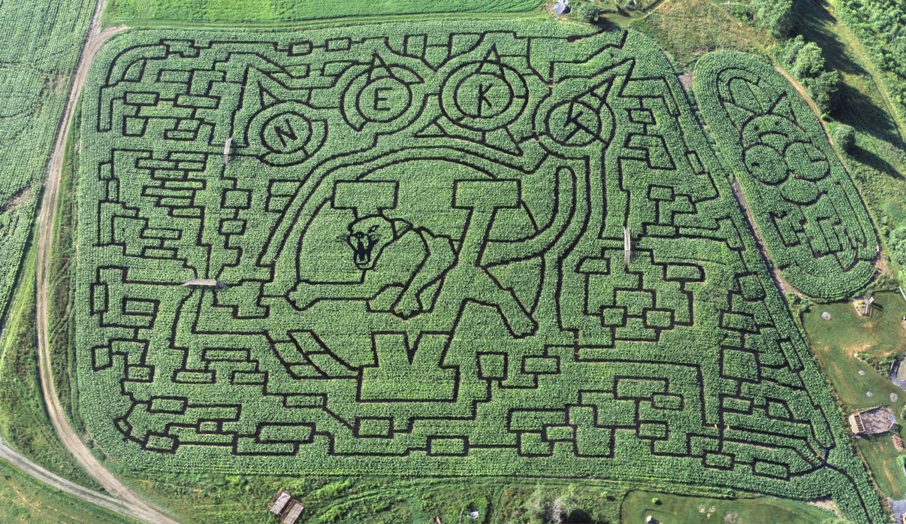 Nhung me cung bang cay dep va phuc tap khap the gioi anh 9