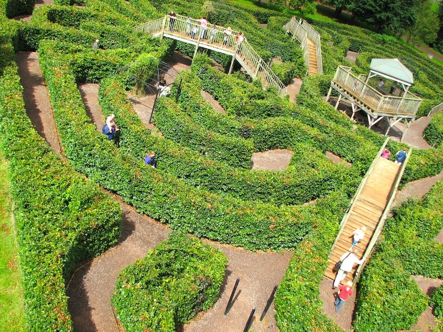 Nhung me cung bang cay dep va phuc tap khap the gioi anh 10