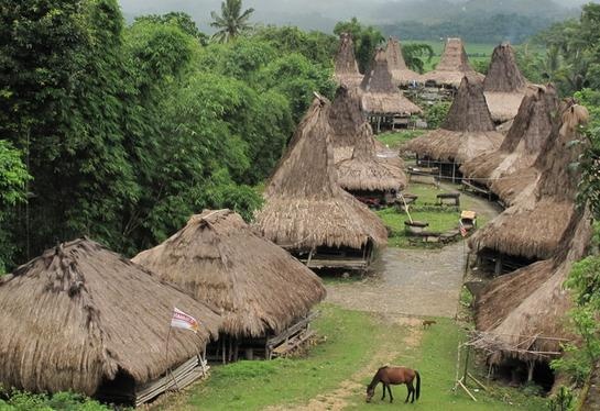 Noi nguoi dan sinh ra da ngap trong no nan hinh anh