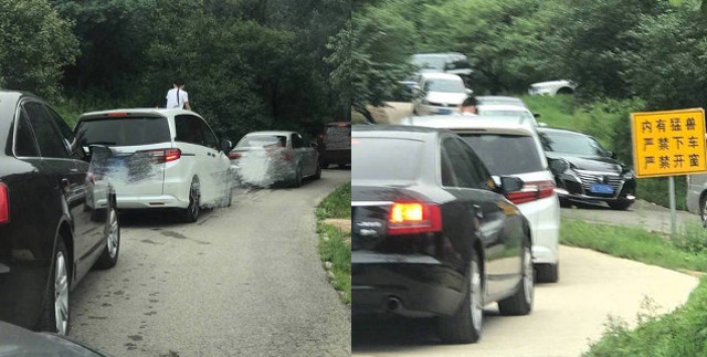 Cong vien hoang da anh 2