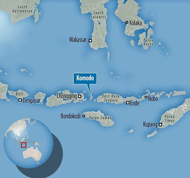 Du khách ghi được cảnh sinh vật cực hiếm thấy khi đang lặn biển ảnh 2 Du khach ghi duoc canh sinh vat cuc hiem thay khi dang lan bien anh 2