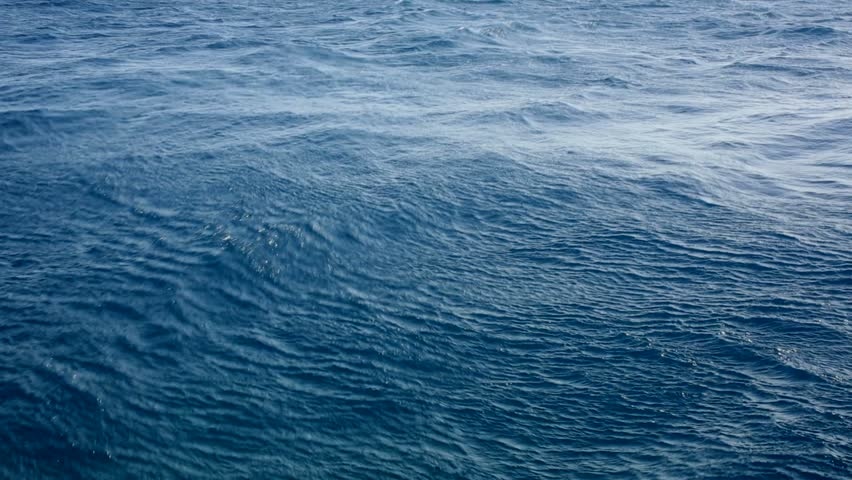 Lam the nao de tranh duoi nuoc anh 1