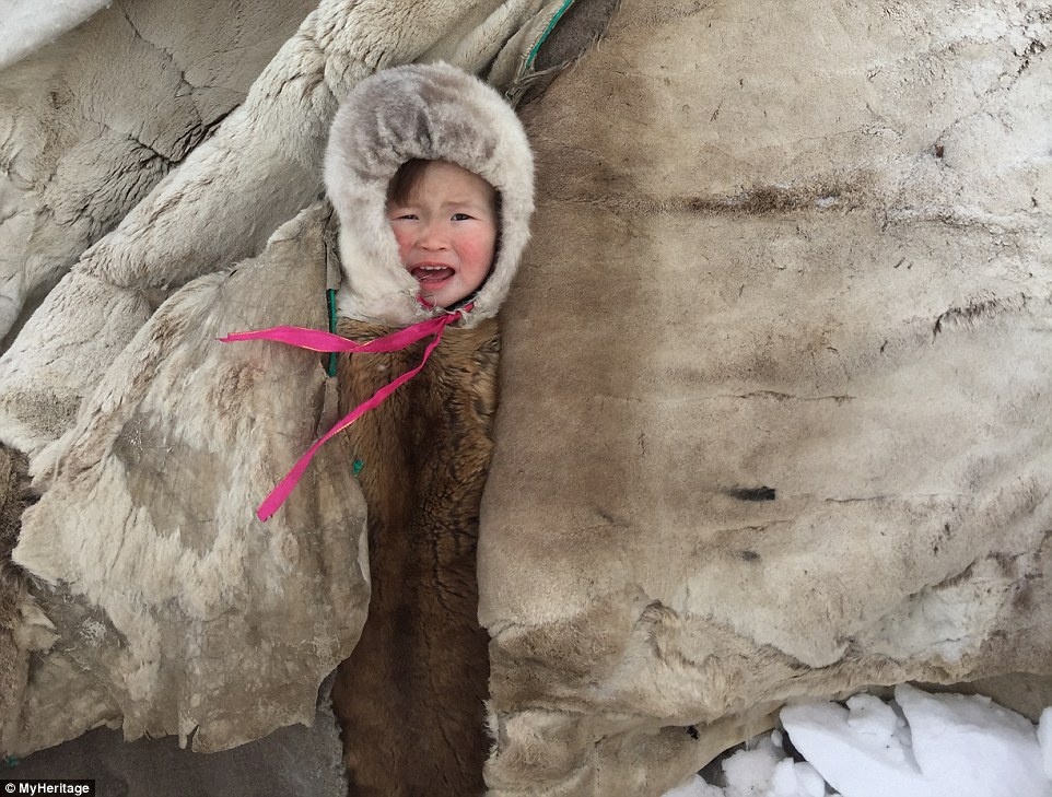 Cuoc song cua bo lac an thit song vung Siberi hinh anh