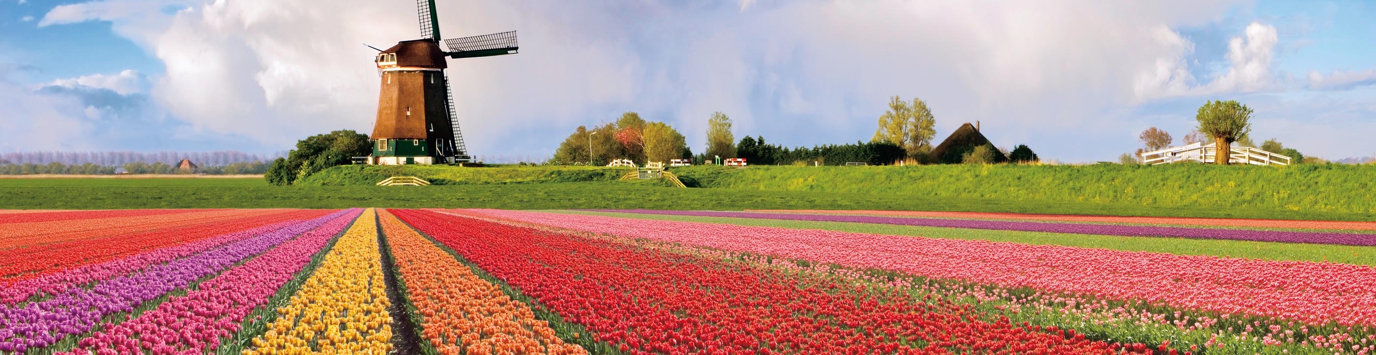 Nhung noi ly tuong de ngam hoa khap the gioi anh 2